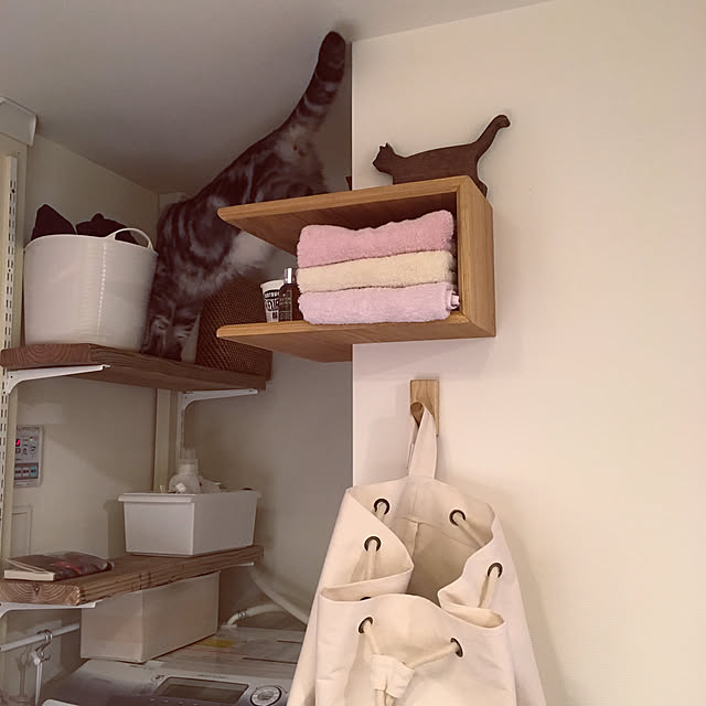 mikomaruさんの実例写真
