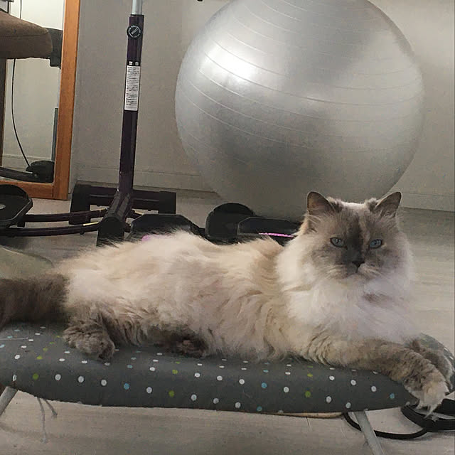 yuさんの実例写真