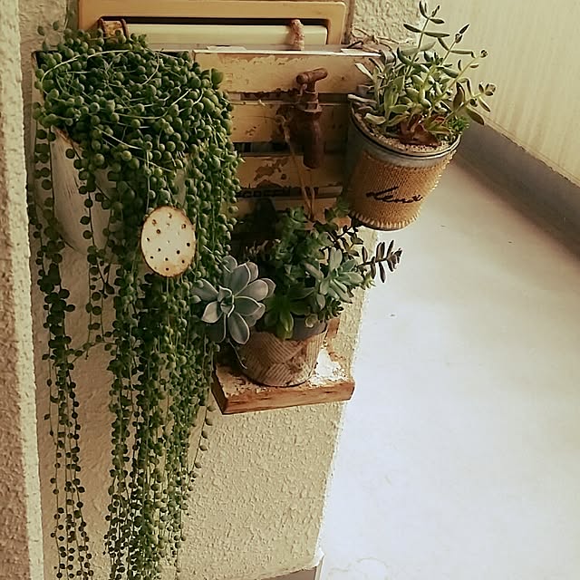 akkomamaさんの実例写真