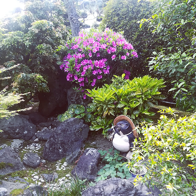 coco1204さんの実例写真