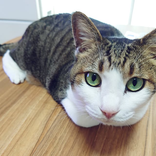 nachiさんの部屋