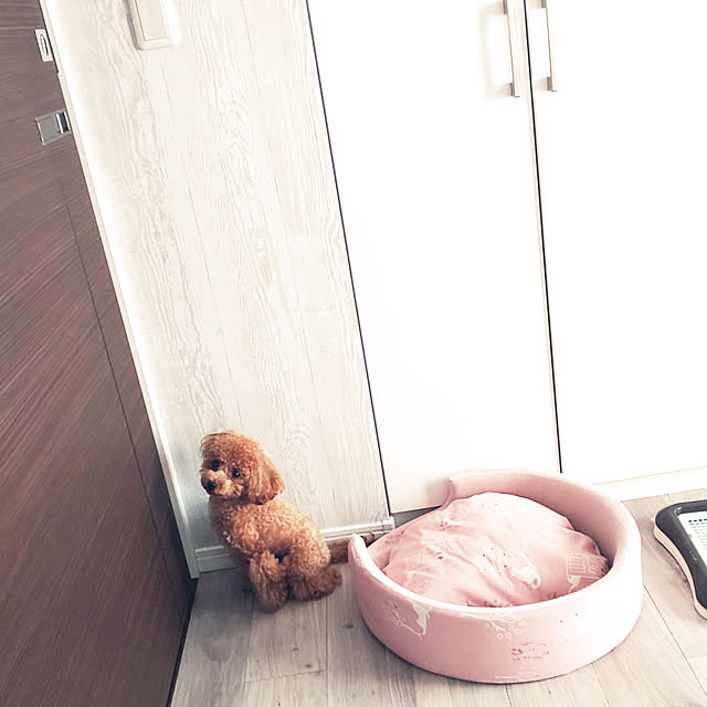 erisavesu4さんの実例写真