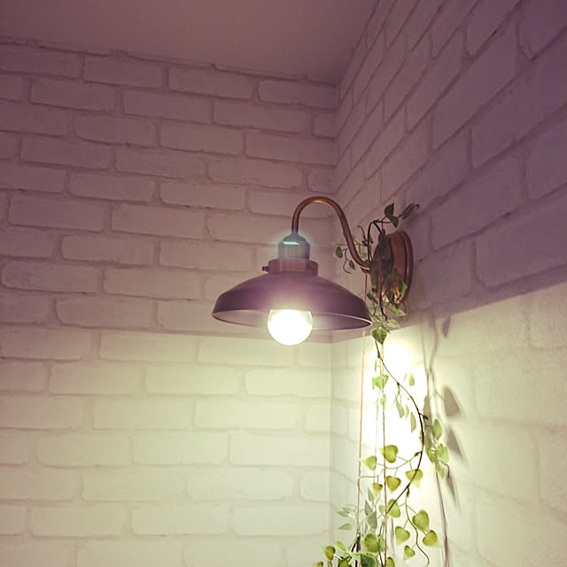 milk_roseさんの実例写真