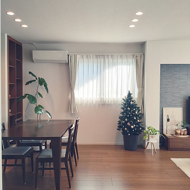 tan5さんの部屋