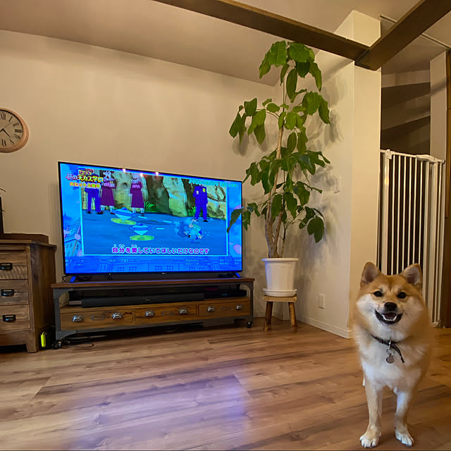 poniさんの実例写真