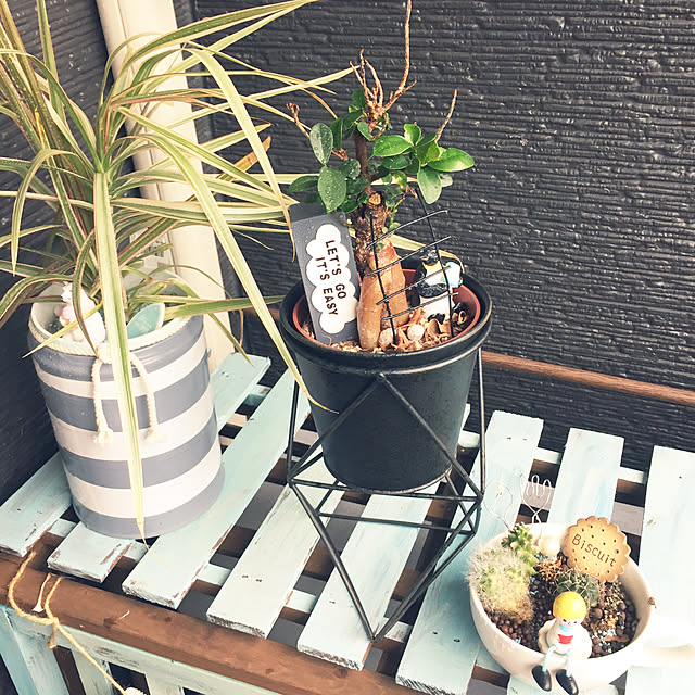 Minteaさんの実例写真