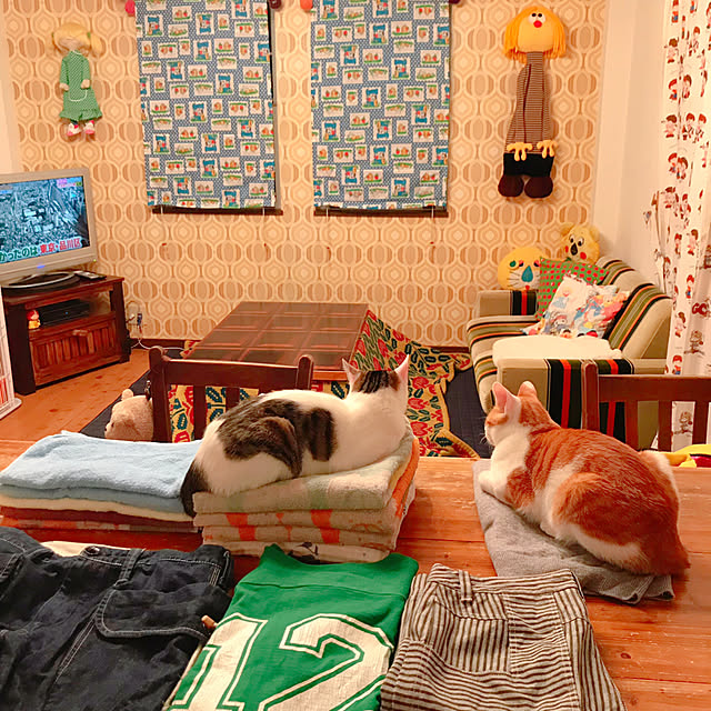 meさんの実例写真