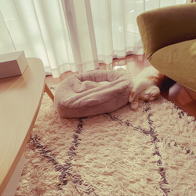 junさんの実例写真
