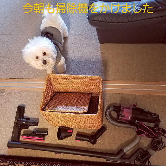 takoさんの実例写真