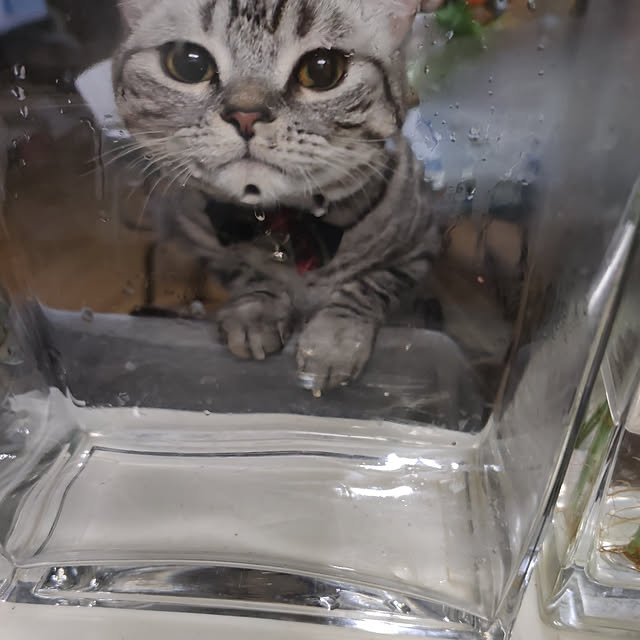 hiro3さんの実例写真