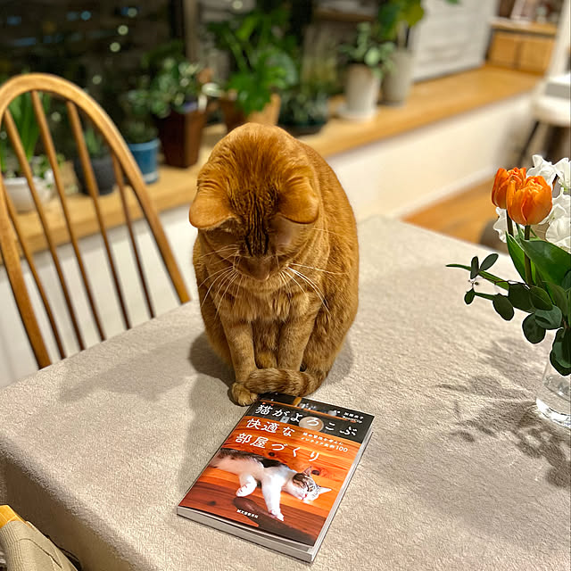 pooさんの実例写真