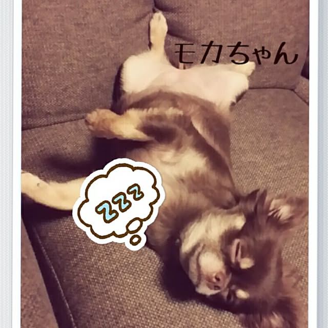 hisachanさんの実例写真