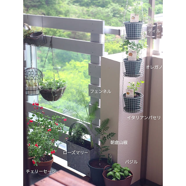 kazafunaさんの実例写真