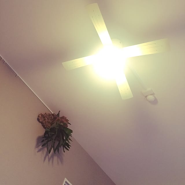 mari727さんの実例写真