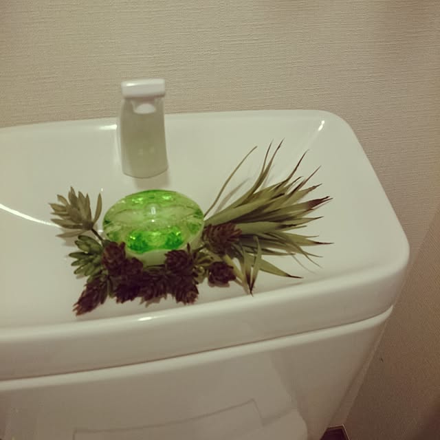 sikaumimoraraさんの実例写真