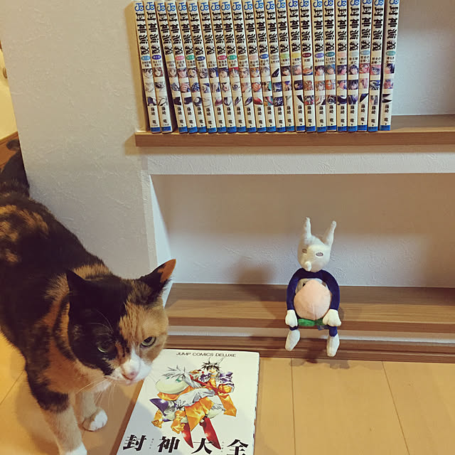 meguchiyoさんの実例写真