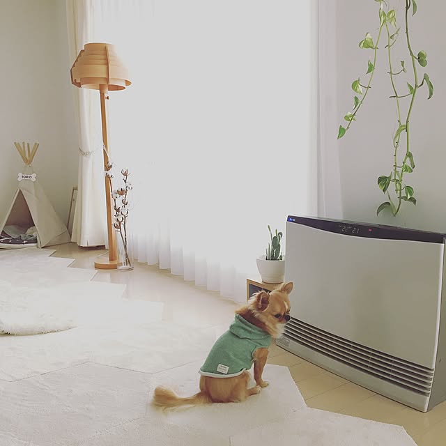 haruhinaさんの実例写真