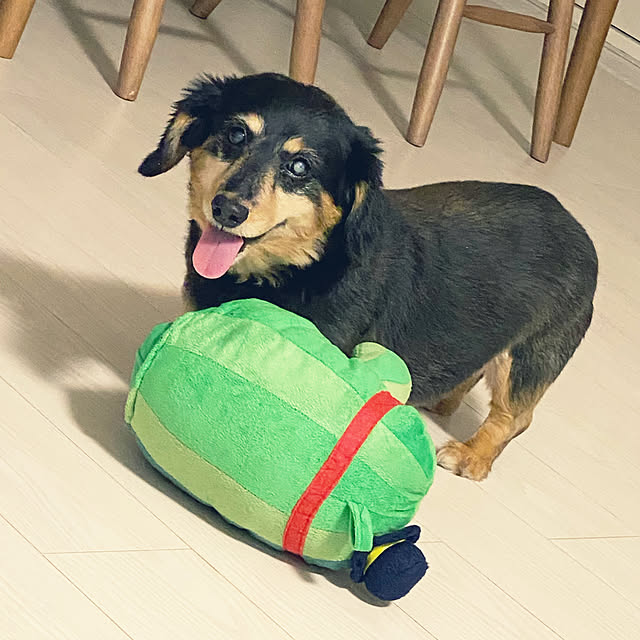 ohanaさんの実例写真