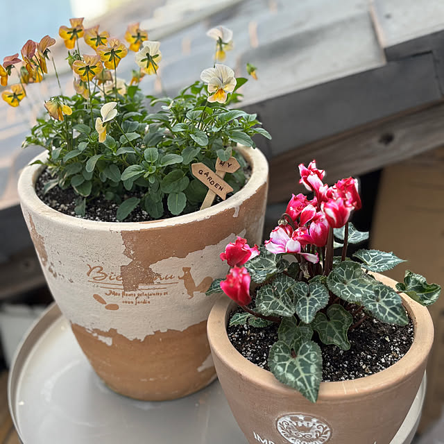 monasanさんの部屋