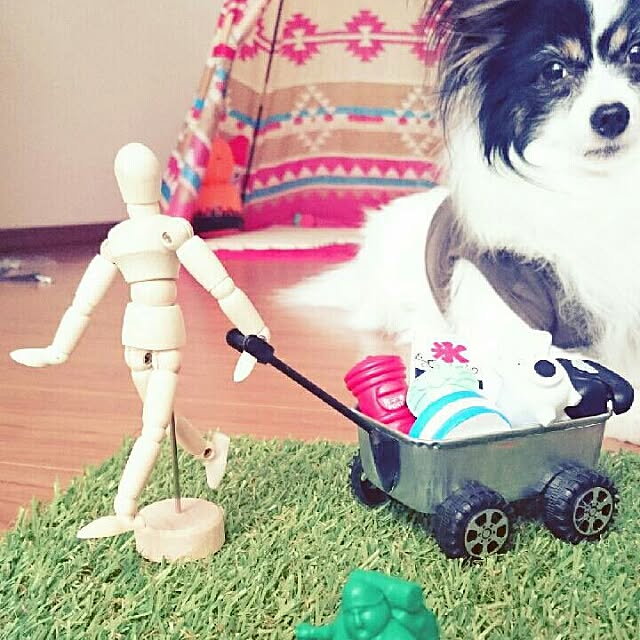 yunarujoさんの実例写真