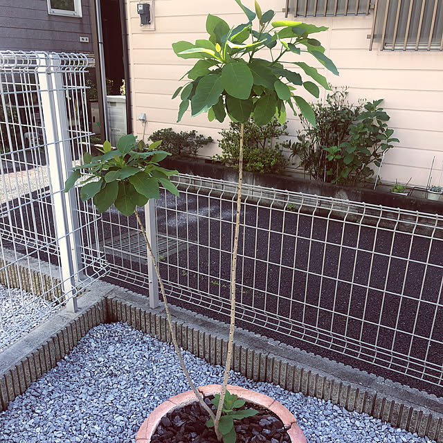yuyuさんの部屋