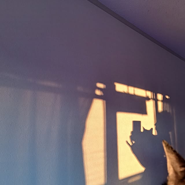 shinoさんの部屋