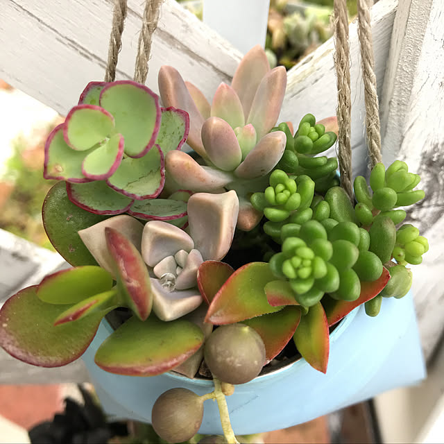 **yuu**さんの実例写真