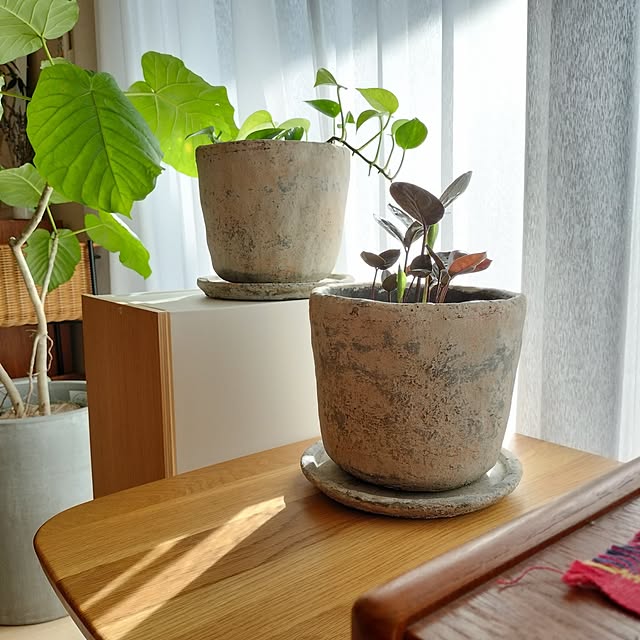 hanaminamiさんの実例写真