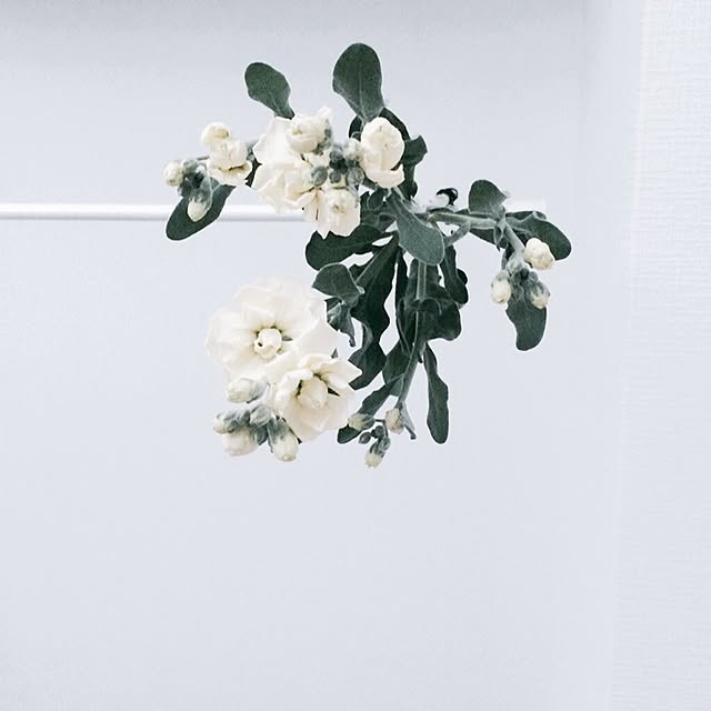 samugari___さんの実例写真