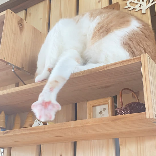 mintteaさんの部屋