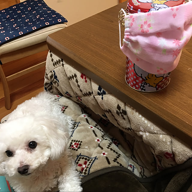 kakoさんの実例写真