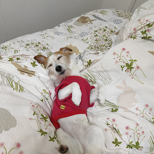 marosukeさんの実例写真