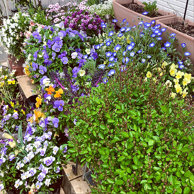 tomoさんの実例写真