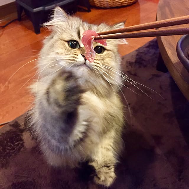 butachanさんの実例写真