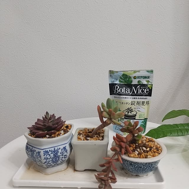 Rさんの部屋