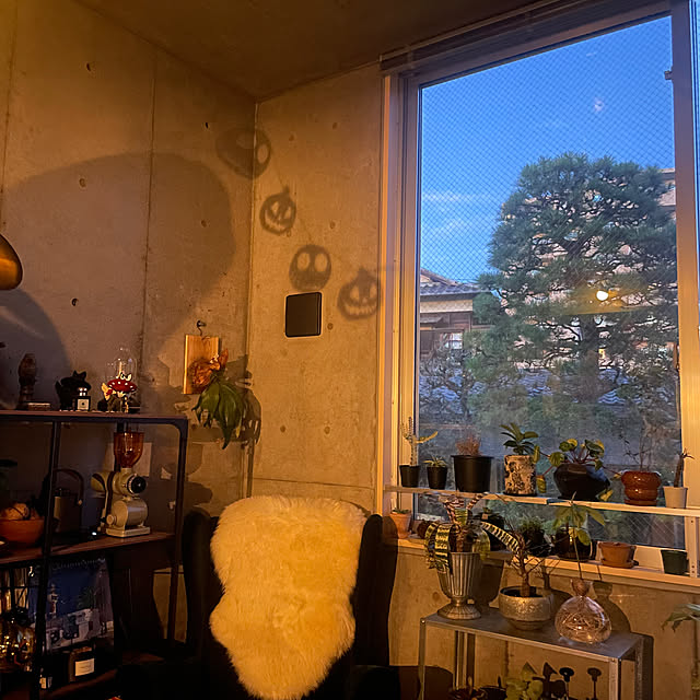 rs_ymgwさんの実例写真