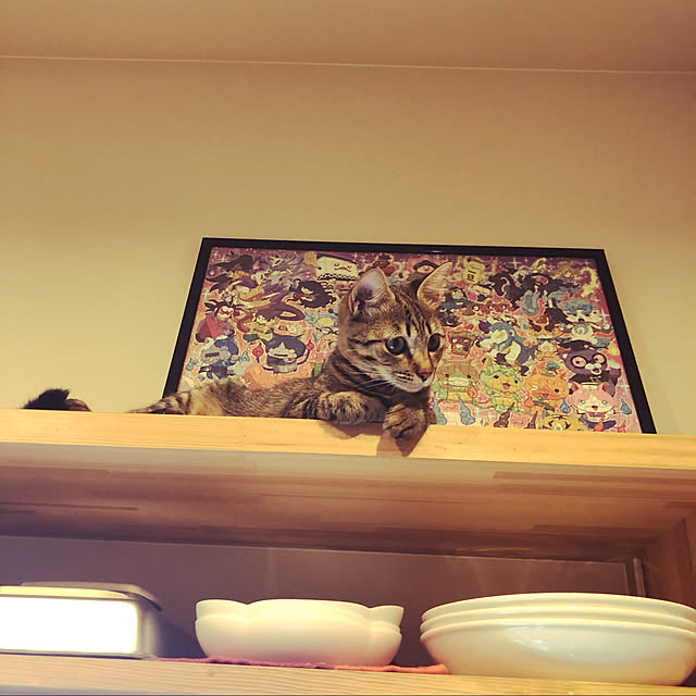 実例写真