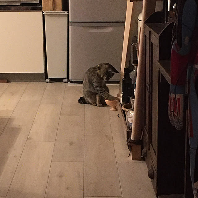 Mさんの実例写真