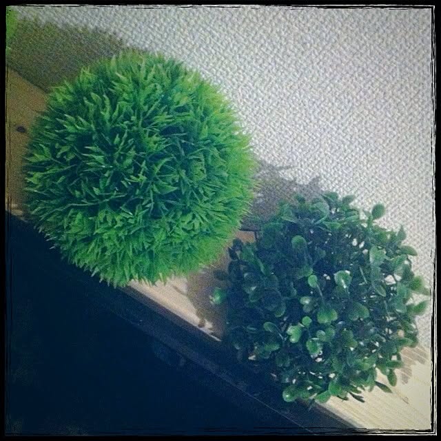 majoさんの実例写真