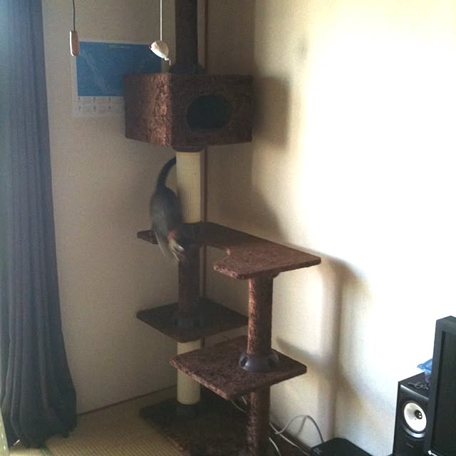 HouQさんの実例写真