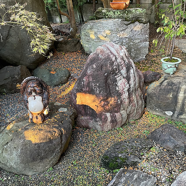 shin0719さんの実例写真