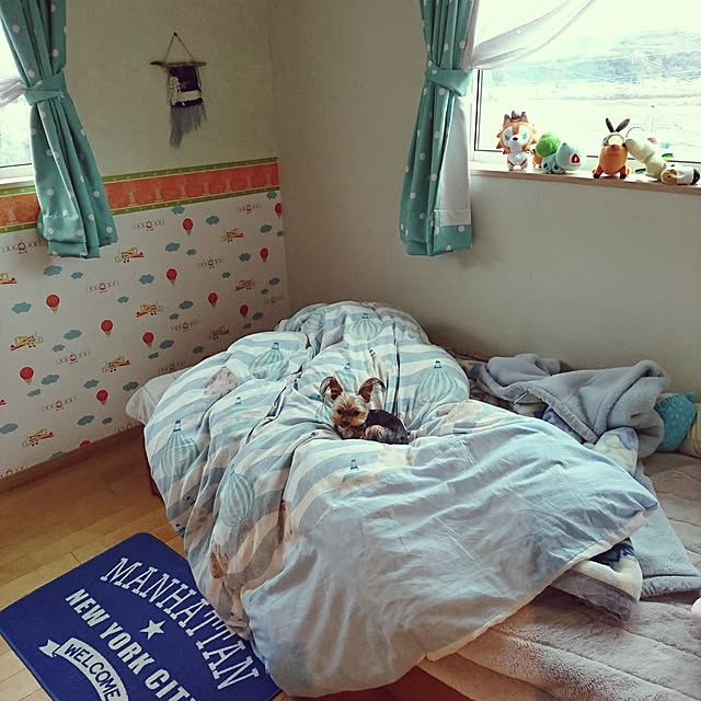 akiさんの実例写真