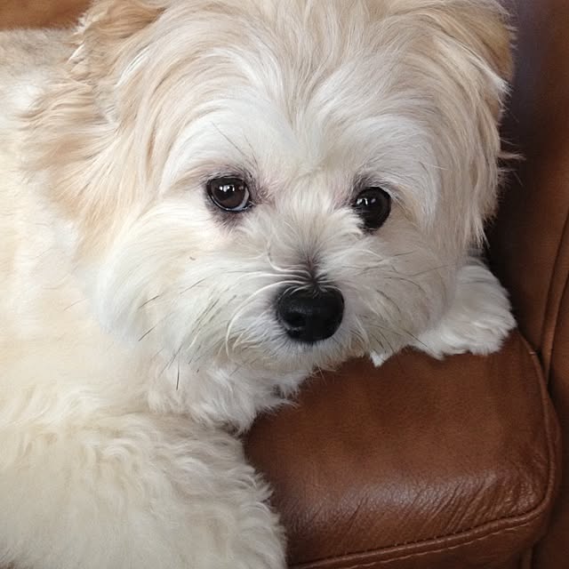 cyataponさんの実例写真