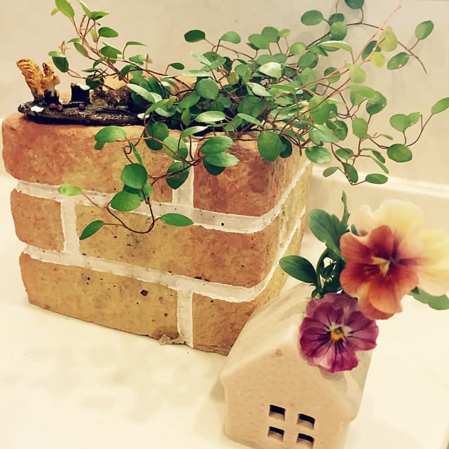 yuchi_chiさんの実例写真