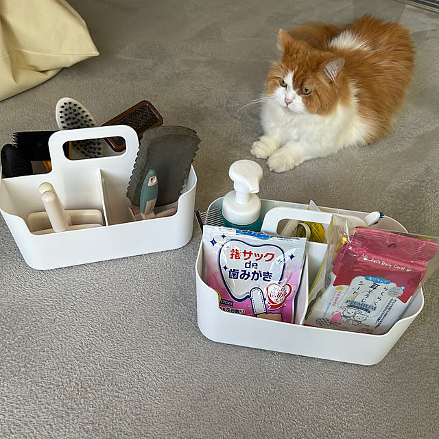 H.Tさんの実例写真