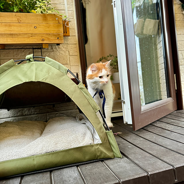 yutaさんの部屋