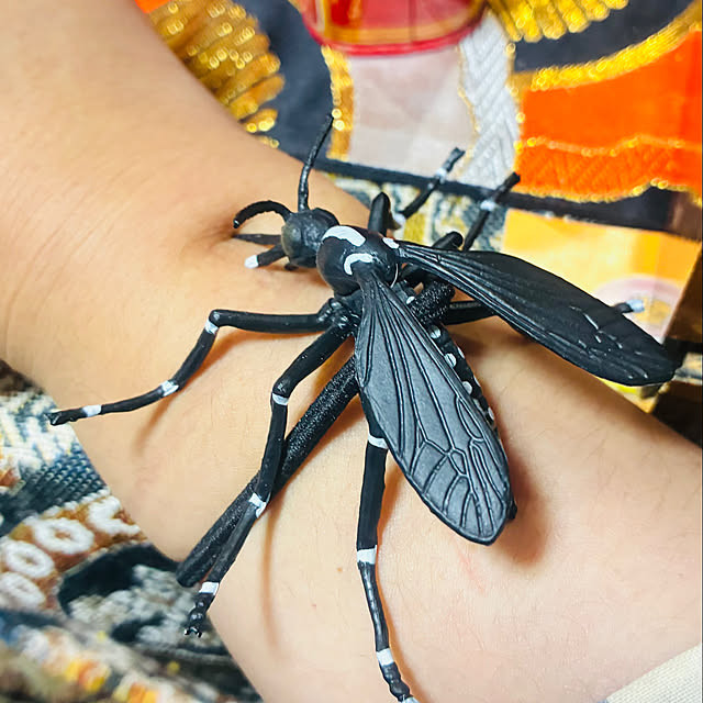 takakuzenさんの部屋