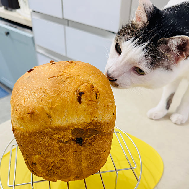 pcu110さんの部屋