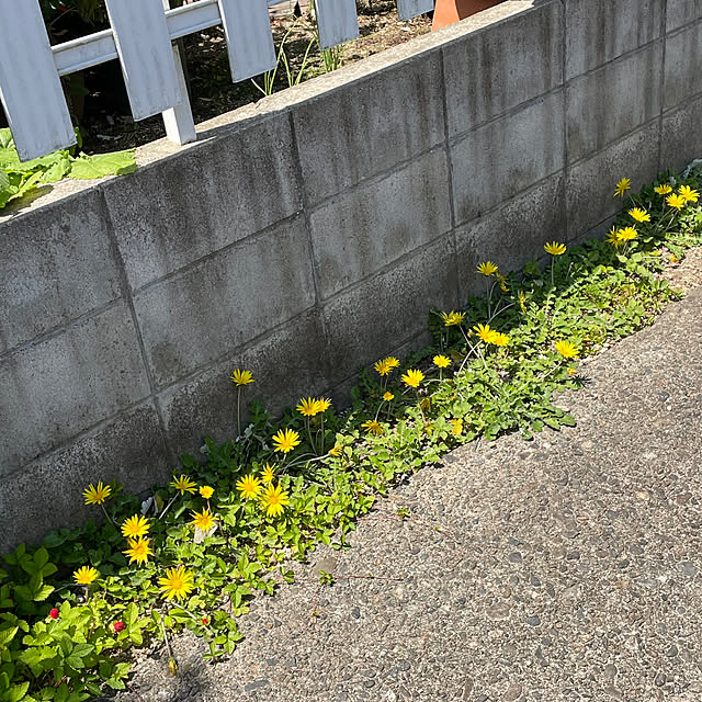 nobikoさんの部屋