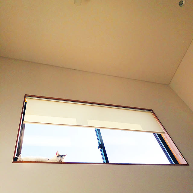 sakuraさんの実例写真